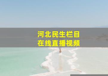 河北民生栏目在线直播视频