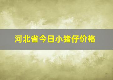 河北省今日小猪仔价格