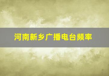 河南新乡广播电台频率