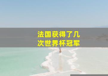 法国获得了几次世界杯冠军