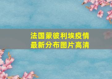 法国蒙彼利埃疫情最新分布图片高清