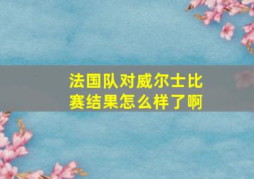 法国队对威尔士比赛结果怎么样了啊