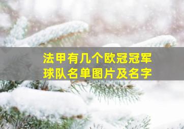 法甲有几个欧冠冠军球队名单图片及名字