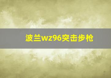 波兰wz96突击步枪