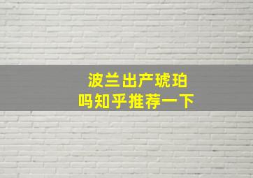 波兰出产琥珀吗知乎推荐一下