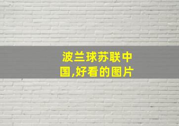 波兰球苏联中国,好看的图片