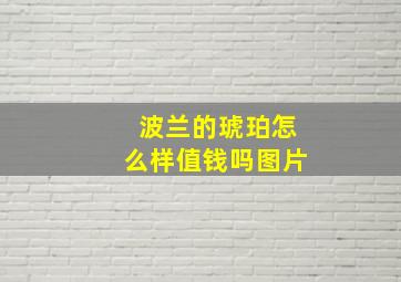 波兰的琥珀怎么样值钱吗图片