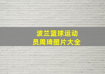 波兰篮球运动员周琦图片大全