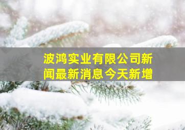 波鸿实业有限公司新闻最新消息今天新增