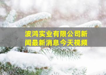 波鸿实业有限公司新闻最新消息今天视频