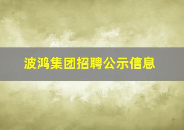 波鸿集团招聘公示信息