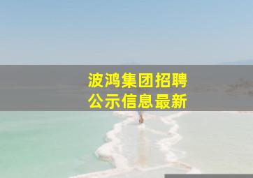 波鸿集团招聘公示信息最新