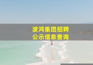 波鸿集团招聘公示信息查询