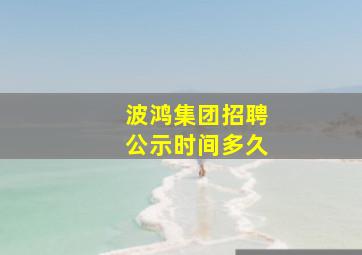 波鸿集团招聘公示时间多久