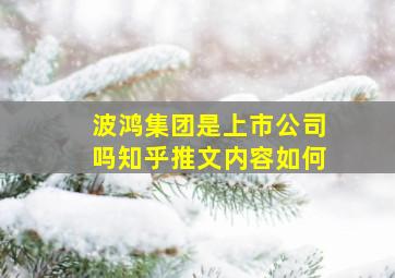 波鸿集团是上市公司吗知乎推文内容如何