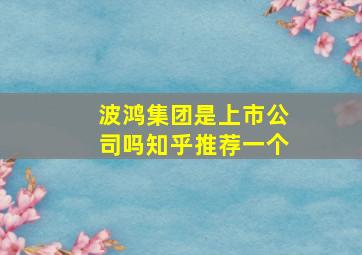 波鸿集团是上市公司吗知乎推荐一个