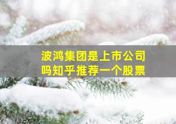 波鸿集团是上市公司吗知乎推荐一个股票