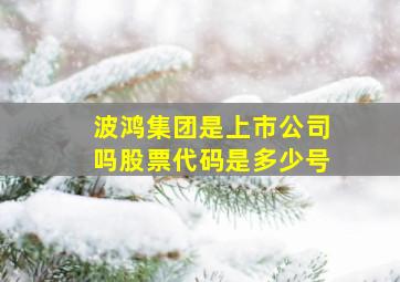 波鸿集团是上市公司吗股票代码是多少号