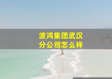 波鸿集团武汉分公司怎么样