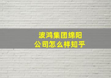 波鸿集团绵阳公司怎么样知乎