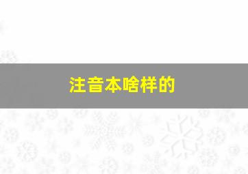 注音本啥样的