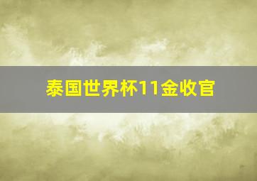 泰国世界杯11金收官