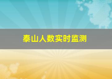 泰山人数实时监测