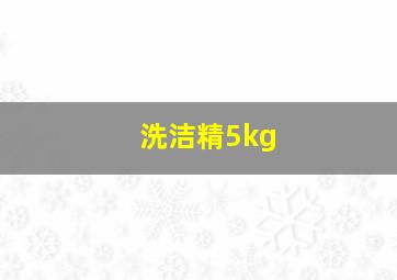 洗洁精5kg