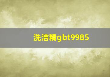 洗洁精gbt9985