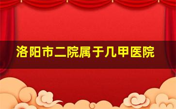 洛阳市二院属于几甲医院