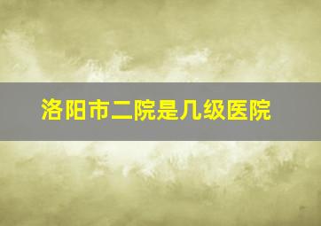 洛阳市二院是几级医院