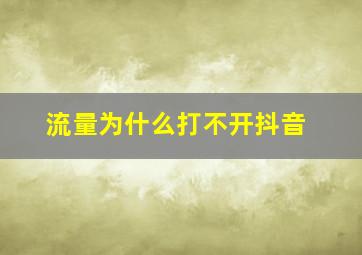 流量为什么打不开抖音