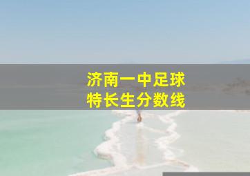 济南一中足球特长生分数线