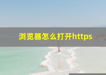 浏览器怎么打开https