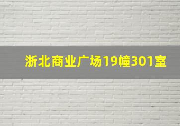 浙北商业广场19幢301室