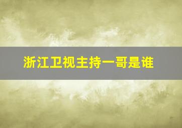 浙江卫视主持一哥是谁