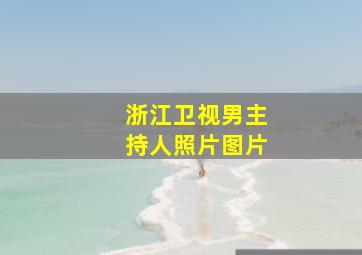 浙江卫视男主持人照片图片