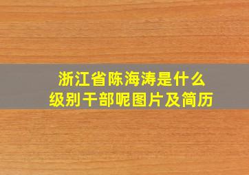 浙江省陈海涛是什么级别干部呢图片及简历