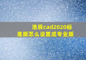 浩辰cad2020标准版怎么设置成专业版