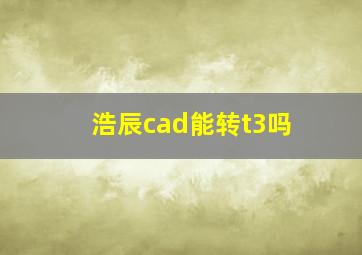 浩辰cad能转t3吗