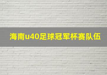 海南u40足球冠军杯赛队伍