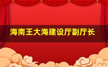 海南王大海建设厅副厅长