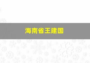 海南省王建国