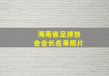 海南省足球协会会长名单照片