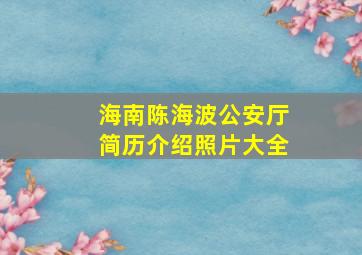 海南陈海波公安厅简历介绍照片大全