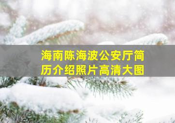 海南陈海波公安厅简历介绍照片高清大图