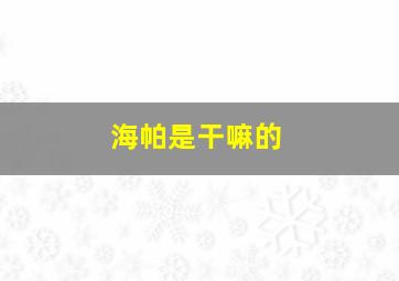 海帕是干嘛的