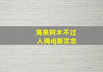 海来阿木不过人间dj版沈念