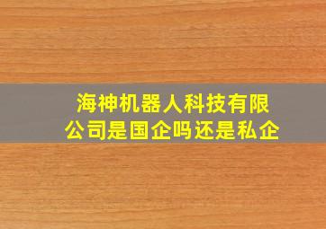 海神机器人科技有限公司是国企吗还是私企