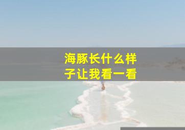 海豚长什么样子让我看一看